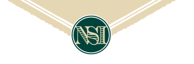 logo nsi nobel sport chiaro