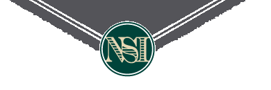 logo nsi nobel sport grigio